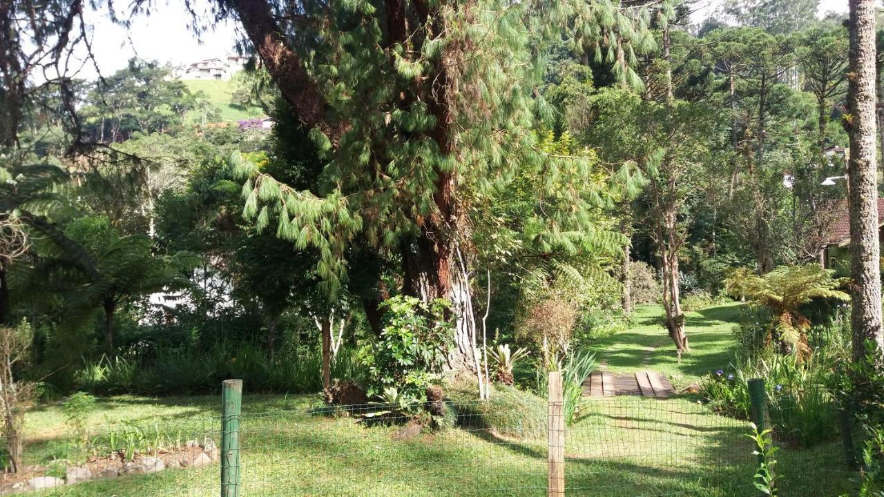 Chale Honeycomb Em Visconde De Maua Villa Бокайна де Минас Екстериор снимка